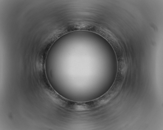 X0000112490510200908171250