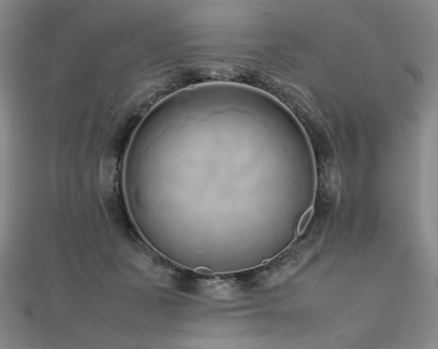 X0000112490511200908171250
