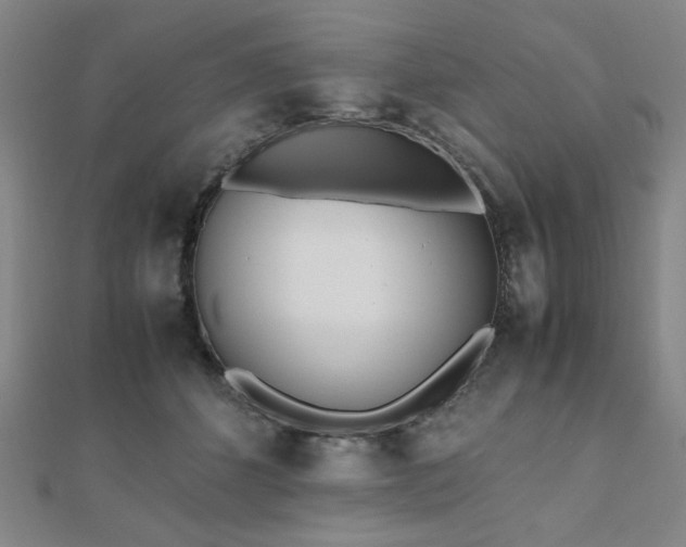 X0000112490512200908171250