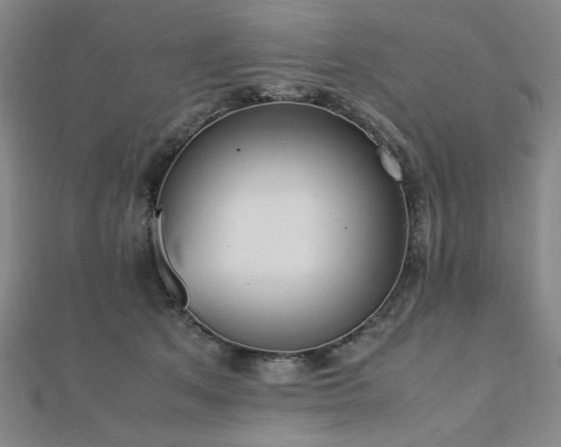 X0000112490513200908171250