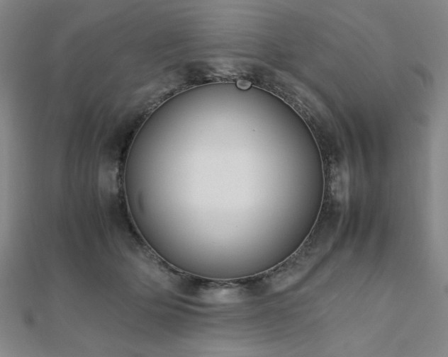 X0000112490514200908171250