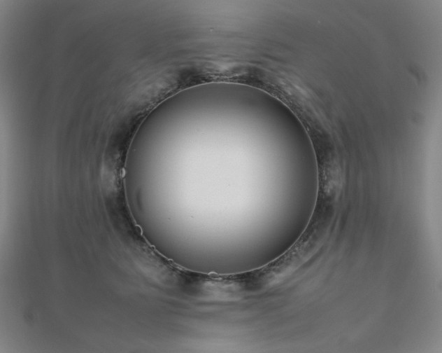 X0000112490515200908171250