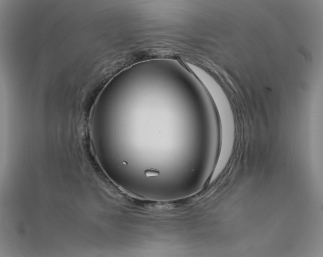 X0000112490517200908171250