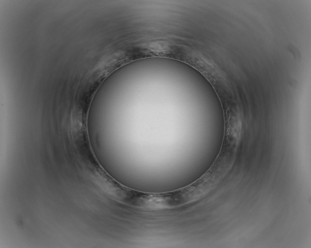 X0000112490518200908171250