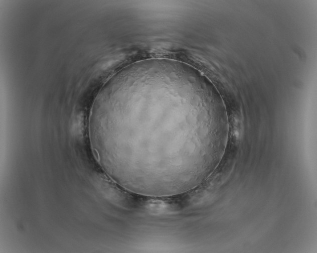 X0000112490519200908171250