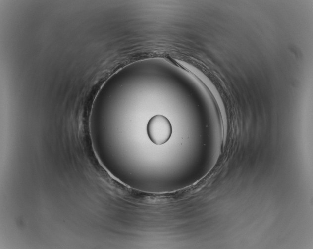 X0000112490520200908171250