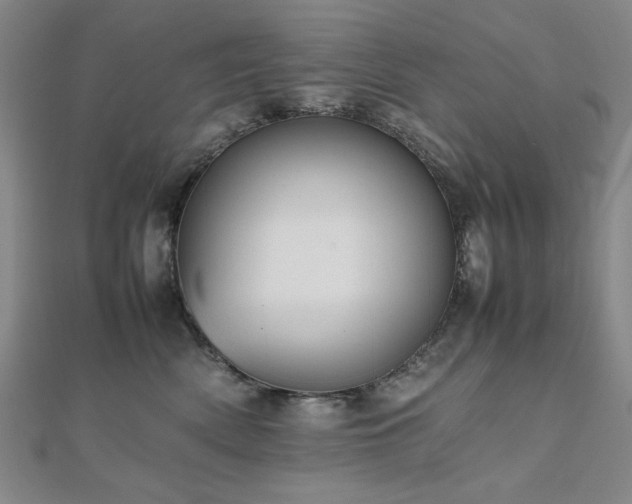 X0000112490522200908171250