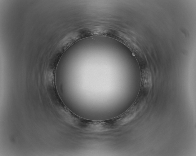 X0000112490523200908171250