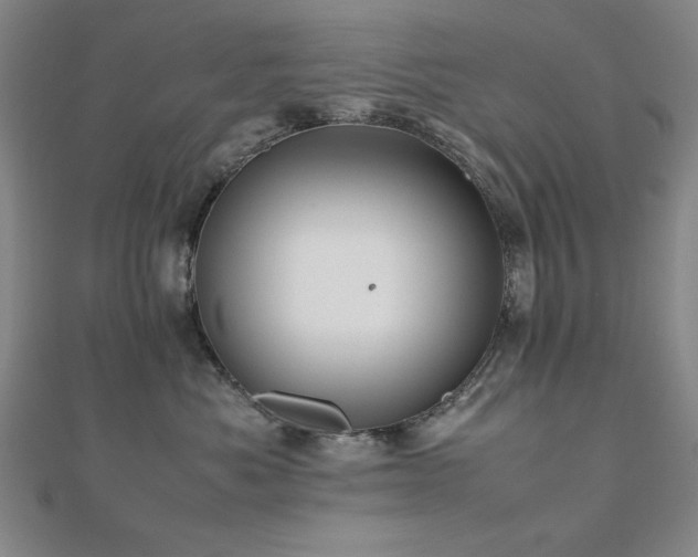 X0000112490525200908171250