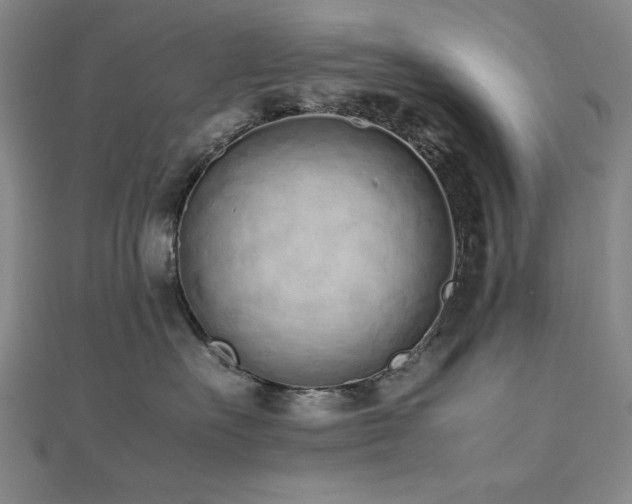 X0000112490527200908171250