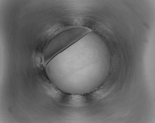 X0000112490528200908171250