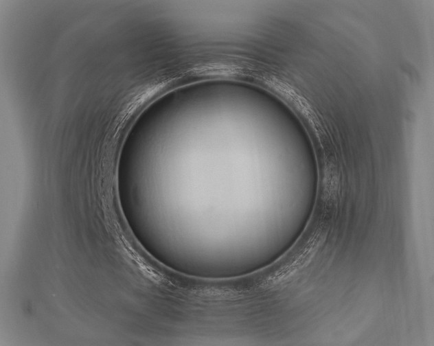 X0000112490529200908171249