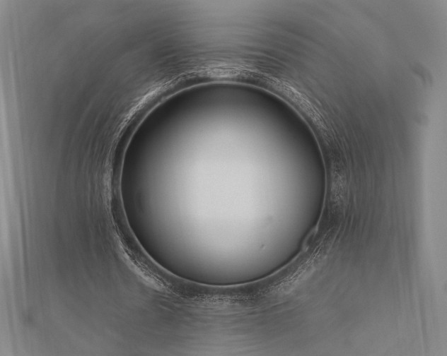 X0000112490530200908171249