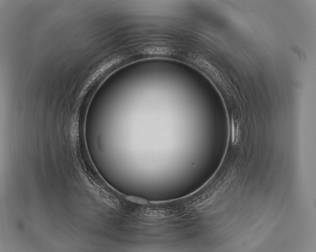 X0000112490531200908171249