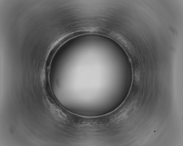 X0000112490532200908171249