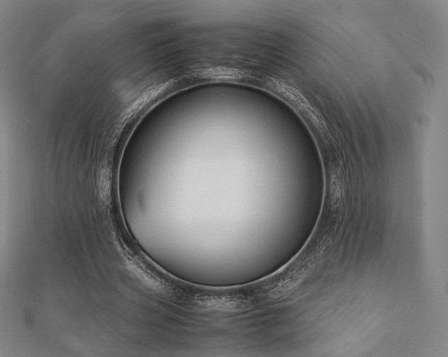 X0000112490533200908171249
