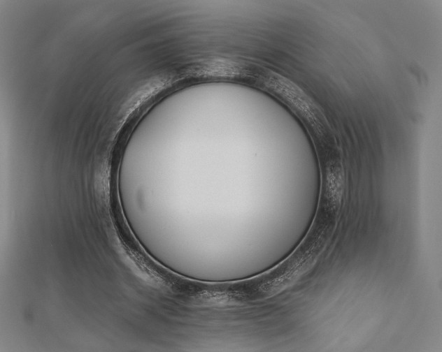 X0000112490534200908171249