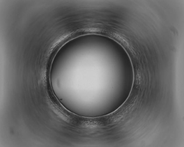 X0000112490535200908171249