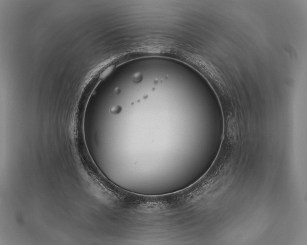 X0000112490536200908171249