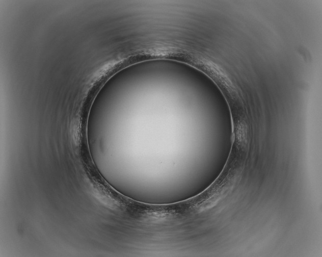 X0000112490540200908171249