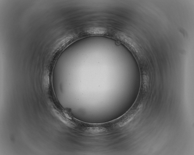 X0000112490541200908171249