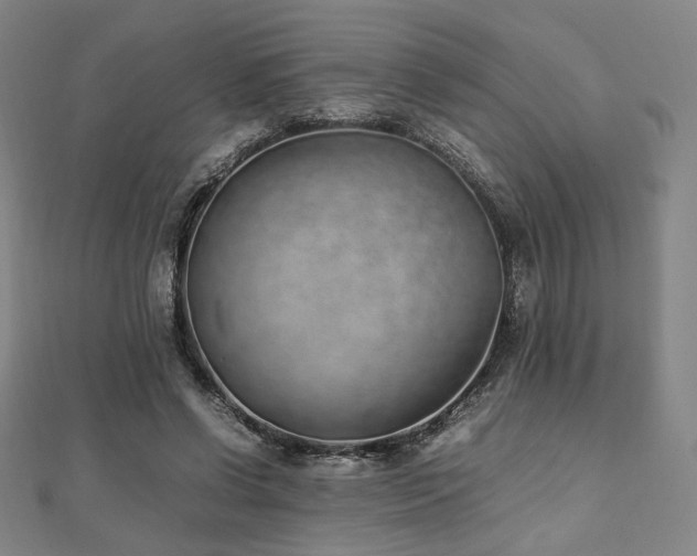 X0000112490542200908171249