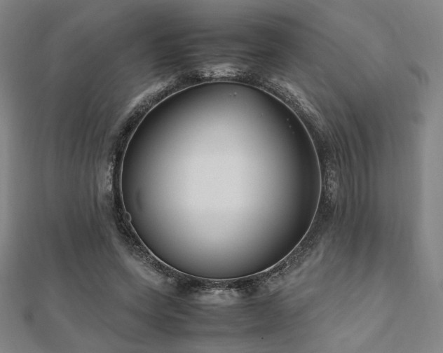 X0000112490543200908171249