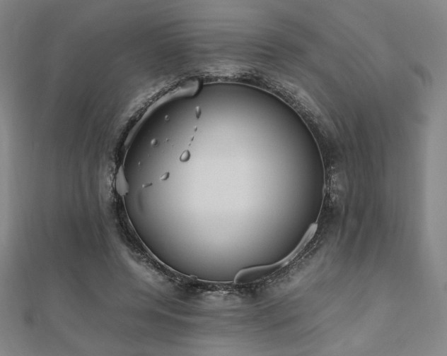 X0000112490544200908171249