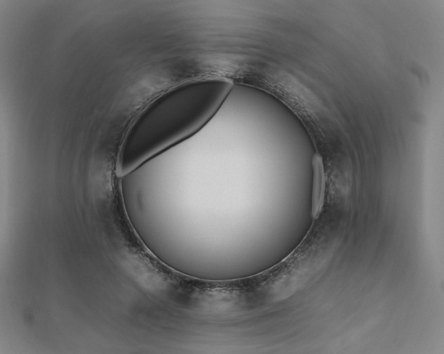 X0000112490546200908171249