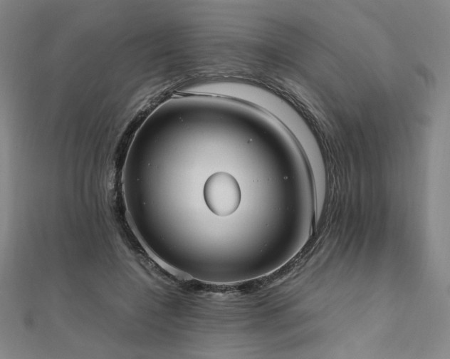 X0000112490548200908171249
