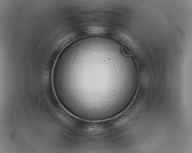 X0000112490549200908171249