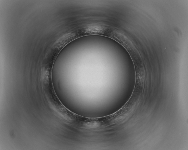 X0000112490551200908171249