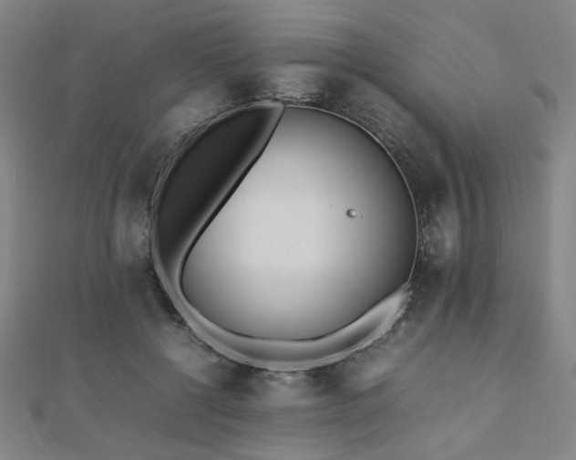 X0000112490552200908171249