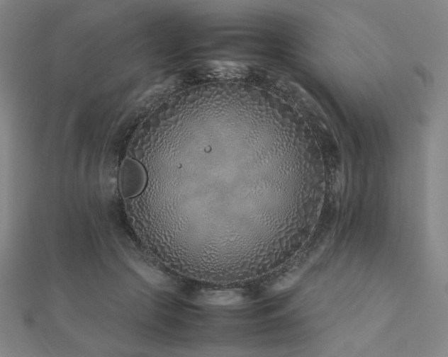 X0000112490553200908171249