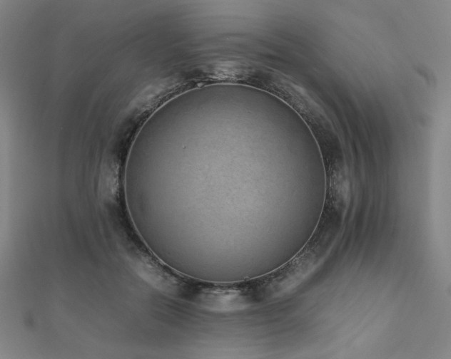 X0000112490554200908171249