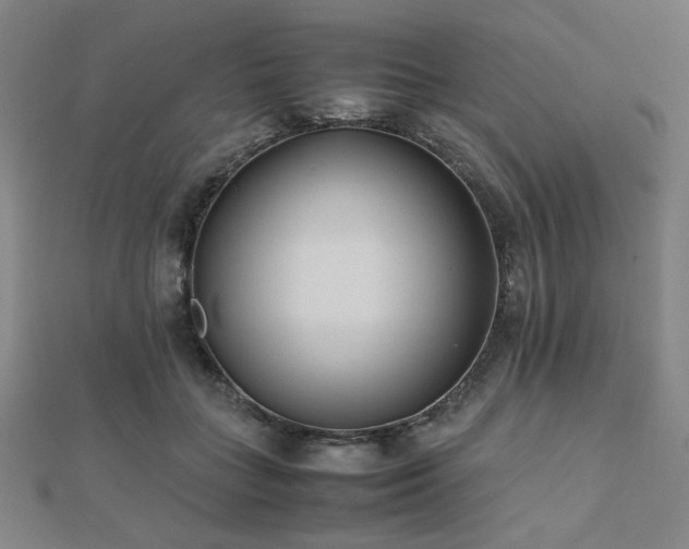 X0000112490555200908171249