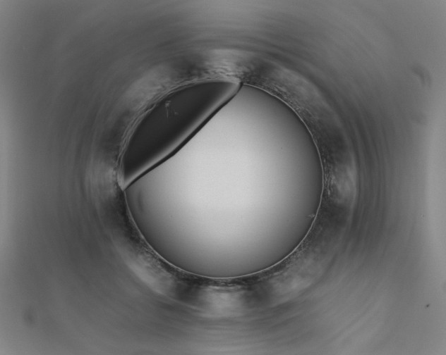 X0000112490556200908171249