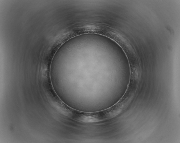 X0000112490557200908171249