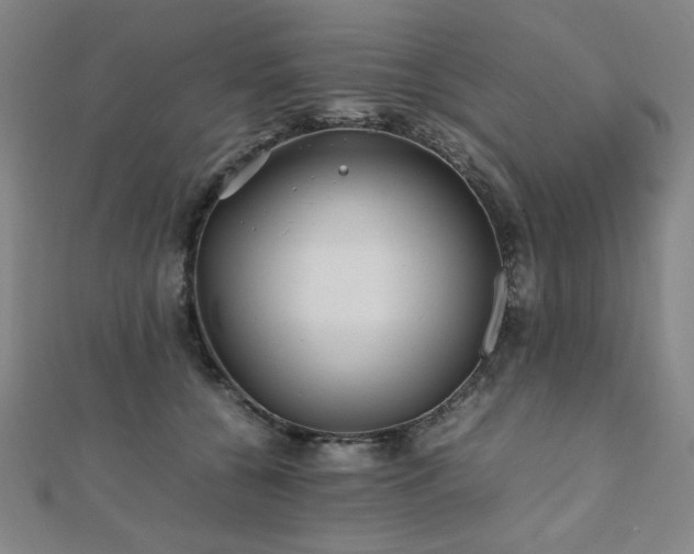 X0000112490560200908171249
