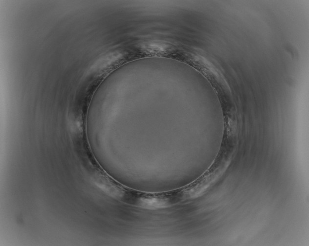 X0000112490561200908171249