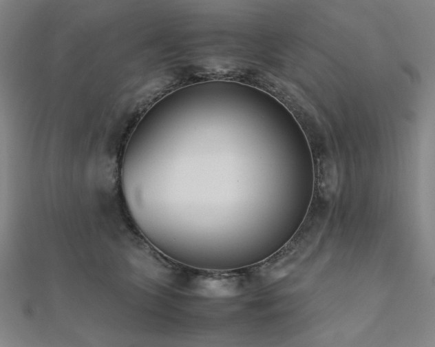 X0000112490563200908171249