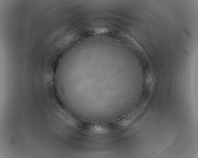 X0000112490565200908171249