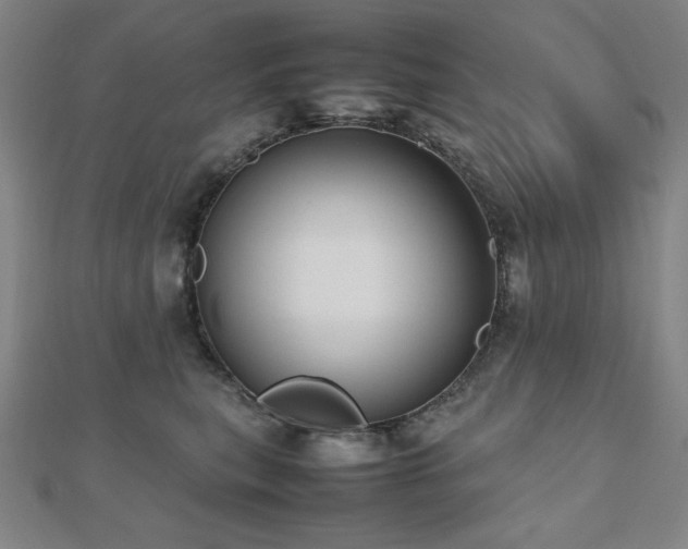 X0000112490567200908171249