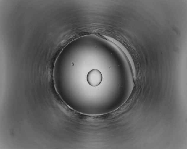 X0000112490568200908171249