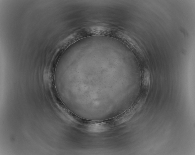 X0000112490569200908171249