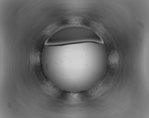 X0000112490570200908171249