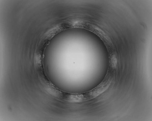 X0000112490571200908171250