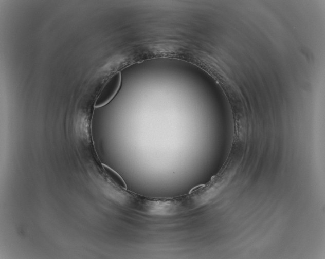 X0000112490575200908171250