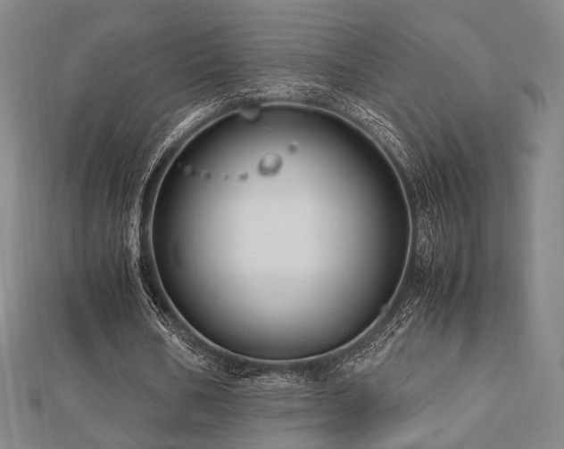 X0000112490578200908171249