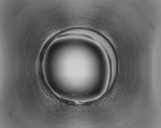 X0000112490579200908171249